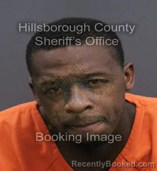 Mugshot of Leroy Andre Butler booked in Hillsborough County, Florida on August 26, 2026