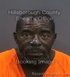 Mugshot of Haile Kenyette Wright booked in Hillsborough County, Florida on August 26, 2026