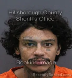 Mugshot of Gabriel Jose Torres-Lopez booked in Hillsborough County, Florida on August 26, 2026