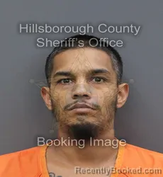 Mugshot of Mark Sunderlal booked in Hillsborough County, Florida on August 26, 2026