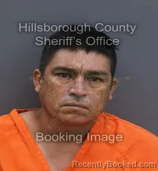 Mugshot of Pedro Luis Jr Sandoval booked in Hillsborough County, Florida on August 26, 2026