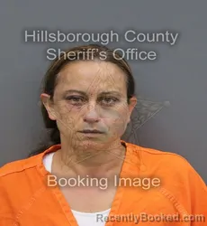 Mugshot of Ashley Nicole Cousineau booked in Hillsborough County, Florida on August 26, 2026