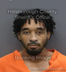 Mugshot of Dekari Dorral Stepter booked in Hillsborough County, Florida on August 26, 2026