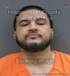 Mugshot of Esteban Del Valle booked in Hillsborough County, Florida on August 26, 2026