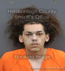 Mugshot of Christian Jonathan Martina booked in Hillsborough County, Florida on August 26, 2026