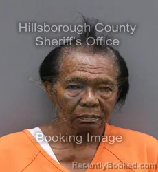 Mugshot of JUANITA WRIGHT