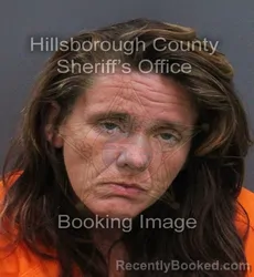 Mugshot of Amanda Kelly Thompson booked in Hillsborough County, Florida on August 27, 2026