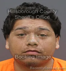 Mugshot of Timothy Ortiz booked in Hillsborough County, Florida on August 27, 2026