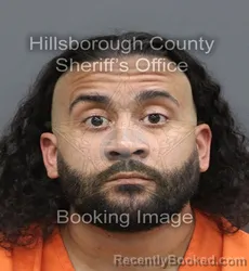 Mugshot of Justin Flores booked in Hillsborough County, Florida on August 27, 2026