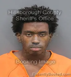 Mugshot of Drew David Baker booked in Hillsborough County, Florida on August 27, 2026