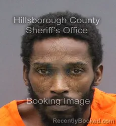 Mugshot of Nero Jamari Torrell Mcfadden booked in Hillsborough County, Florida on August 27, 2026