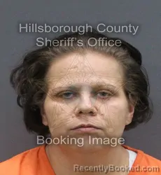Mugshot of Samantha Michelle Terwilliger booked in Hillsborough County, Florida on August 27, 2026