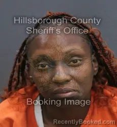 Mugshot of Shanique La Von Mouling booked in Hillsborough County, Florida on August 27, 2026