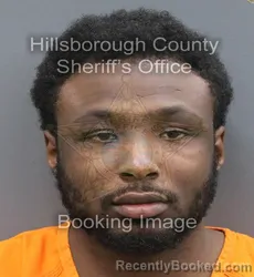 Mugshot of Tamir Harambi-Devall Blackshear booked in Hillsborough County, Florida on August 27, 2026