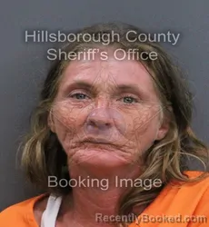 Mugshot of Angela Ann Davis booked in Hillsborough County, Florida on August 27, 2026