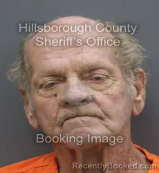 Mugshot of David Earl Fey booked in Hillsborough County, Florida on August 27, 2026