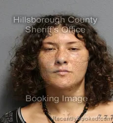 Mugshot of Johanna Maria Kuhn booked in Hillsborough County, Florida on August 27, 2026