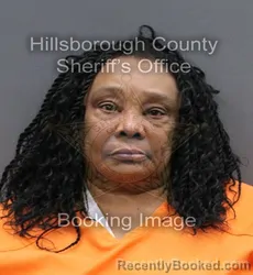 Mugshot of JO ANN NAPIER