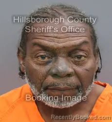 Mugshot of Calvin Earl Johnson booked in Hillsborough County, Florida on August 27, 2026