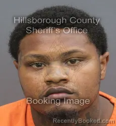 Mugshot of Bryan Isaiah Bolin booked in Hillsborough County, Florida on August 27, 2026