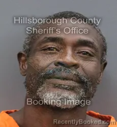 Mugshot of Dominic Antoine Dean booked in Hillsborough County, Florida on August 27, 2026