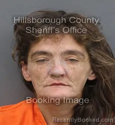 Mugshot of Cassie Leigh Richards booked in Hillsborough County, Florida on August 27, 2026