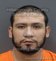 Mugshot of Miguel Morales Albiter booked in Hillsborough County, Florida on August 27, 2026