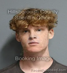 Mugshot of Lazarus Steven Michael Haire booked in Hillsborough County, Florida on August 27, 2026