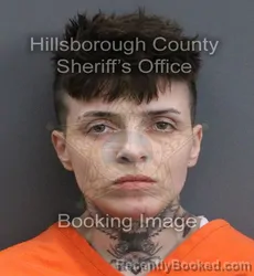 Mugshot of Katherine Elise Cales booked in Hillsborough County, Florida on August 27, 2026