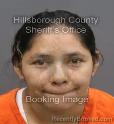 Mugshot of Floricelda Garcia Gomes booked in Hillsborough County, Florida on August 27, 2026