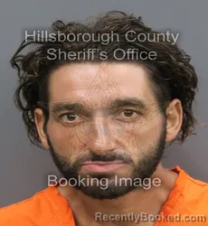 Mugshot of Brandon Carlos Alves booked in Hillsborough County, Florida on August 27, 2026