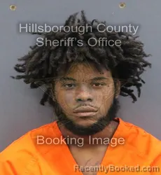 Mugshot of Anthony Duane Ii Stewart booked in Hillsborough County, Florida on August 27, 2026