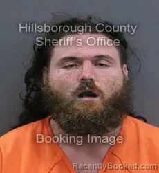Mugshot of William Gregory Baxter booked in Hillsborough County, Florida on August 27, 2026