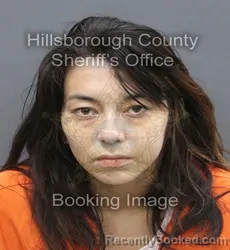 Mugshot of Kiana Nichole Dodson booked in Hillsborough County, Florida on August 27, 2026