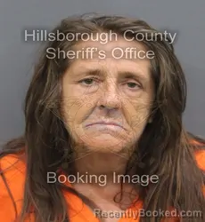 Mugshot of Vicki Sue Van Straaten booked in Hillsborough County, Florida on August 27, 2026