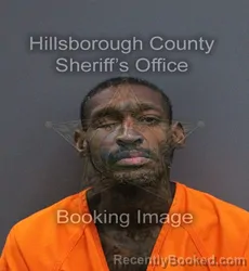 Mugshot of Jason Alan Powell booked in Hillsborough County, Florida on August 27, 2026