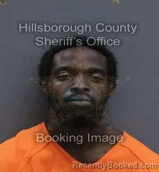 Mugshot of Gerald Ray Phelps booked in Hillsborough County, Florida on August 27, 2026