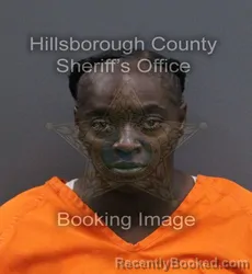 Mugshot of Rebecca Diane Evans booked in Hillsborough County, Florida on August 27, 2026
