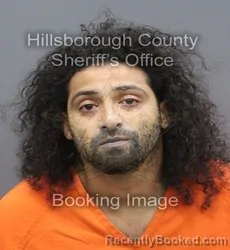 Mugshot of Joshua Pacheco booked in Hillsborough County, Florida on August 28, 2026