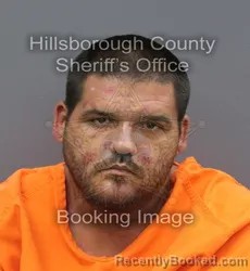 Mugshot of Joseph Emilio Roque booked in Hillsborough County, Florida on August 28, 2026