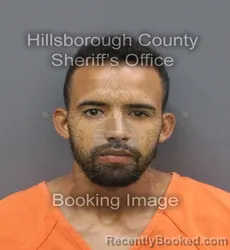 Mugshot of Juan Miguel Depestre-Martinez booked in Hillsborough County, Florida on August 28, 2026