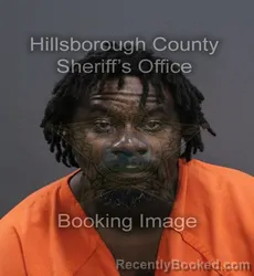Mugshot of Desi Lamar Murray booked in Hillsborough County, Florida on August 28, 2026
