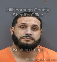 Mugshot of Alexander Maxwell Valencia booked in Hillsborough County, Florida on August 28, 2026