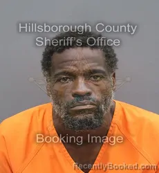 Mugshot of Ardonious Mature Coleman booked in Hillsborough County, Florida on August 28, 2026