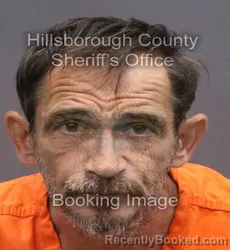 Mugshot of David Lee Rommel booked in Hillsborough County, Florida on August 28, 2026