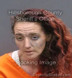 Mugshot of Jessica Lee Foerman booked in Hillsborough County, Florida on August 28, 2026