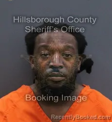 Mugshot of Derric Emil Jr Thompson booked in Hillsborough County, Florida on August 28, 2026