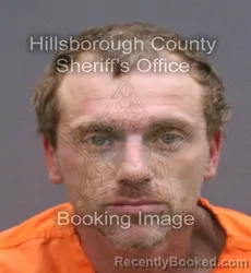 Mugshot of Casey Leigh Wilcox booked in Hillsborough County, Florida on August 28, 2026