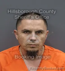Mugshot of Jose Lusiano-Nuhn Jr Garcia booked in Hillsborough County, Florida on August 28, 2026