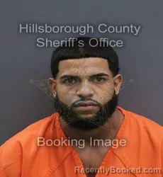 Mugshot of Edwin Orlando Rodriguez booked in Hillsborough County, Florida on August 28, 2026